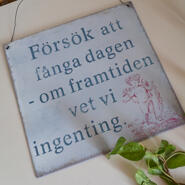 Skylt - försök fånga dagen