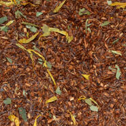 Rooibos te - Smultron & vanilj