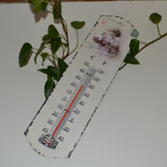Termometer - flicka med rosa blommor