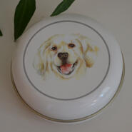 Pillerburk - Hund