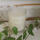 Doftljus - Lavender/Neroli - bild 1