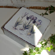 Box Iris - stor