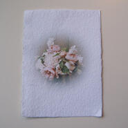 Kort med rosa pioner