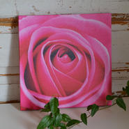 Tavla - Rosa ros