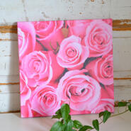 Tavla - Rosa rosor