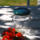 Glasburk med grönt lock - bild 1