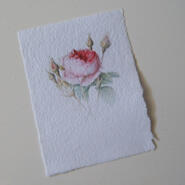 Kort med rosa ros